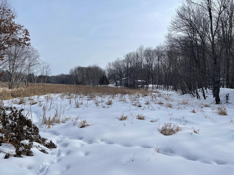 171st Eveleth St Ne, Ham Lake, MN 55304