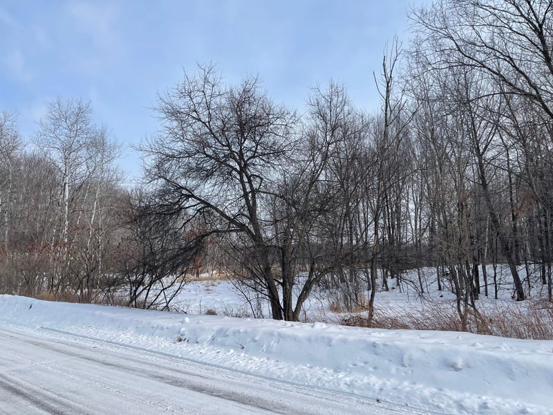 171st Eveleth St Ne, Ham Lake, MN 55304