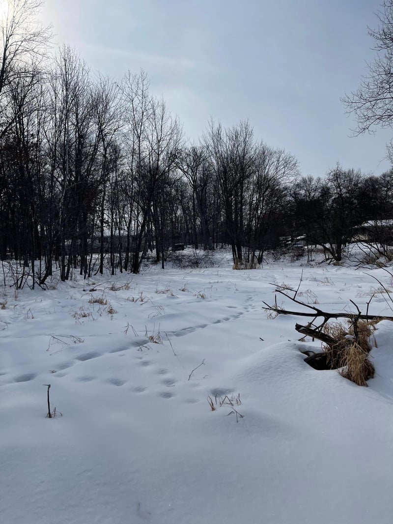 171st Eveleth St Ne, Ham Lake, MN 55304