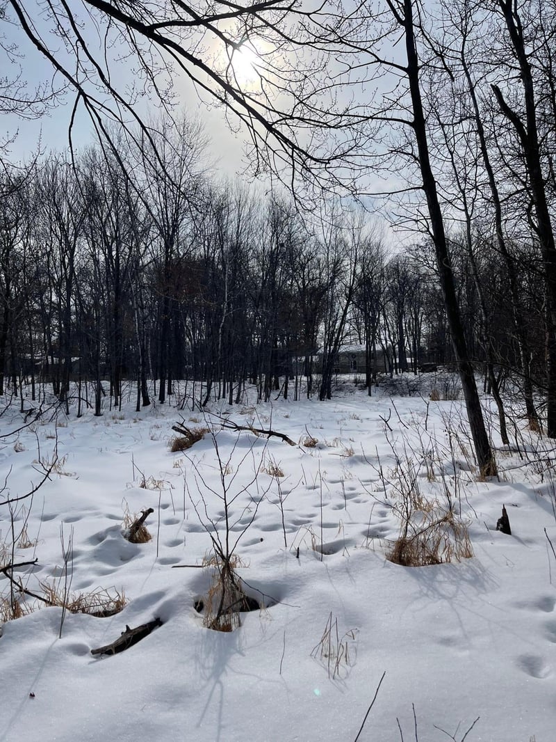 171st Eveleth St Ne, Ham Lake, MN 55304