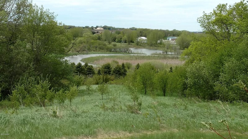 TBD 457th Ave, Morris, MN 56267