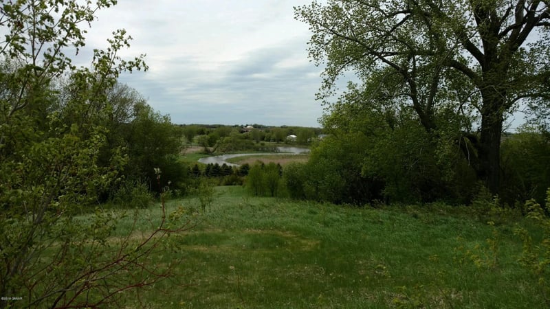 TBD 457th Ave, Morris, MN 56267
