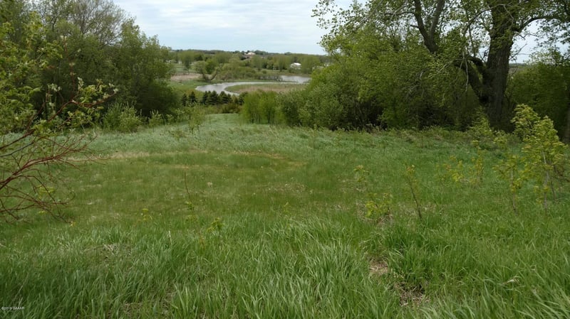 TBD 457th Ave, Morris, MN 56267