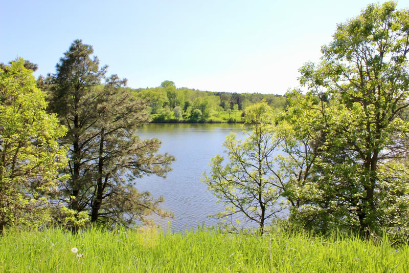 9540 54th Ave SE, Blooming Prairie, MN 55917
