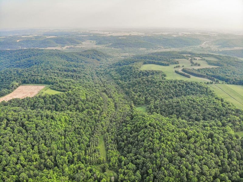 120 Acres 640th Ave, Knapp, WI 54749