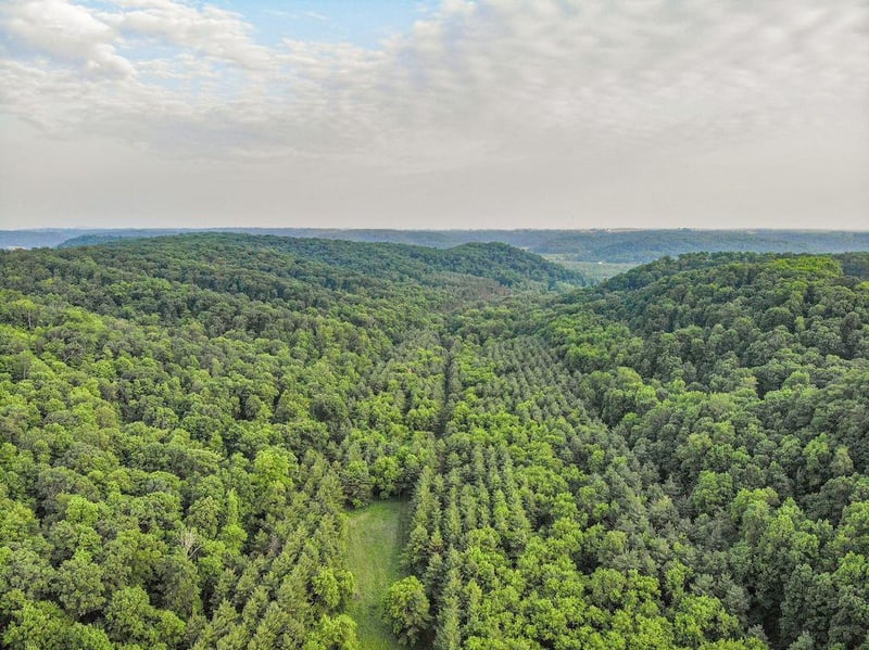 120 Acres 640th Ave, Knapp, WI 54749