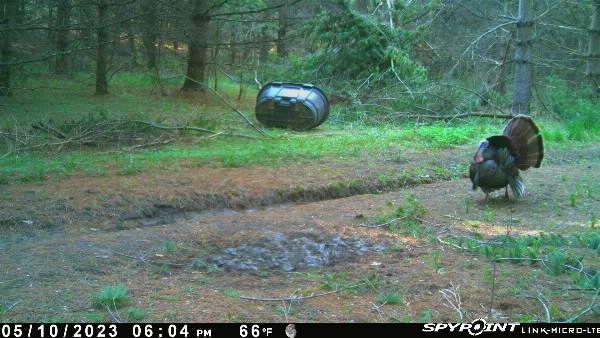 120 Acres 640th Ave, Knapp, WI 54749