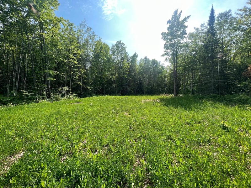 TBD Highway 13, Bayfield, WI 54814