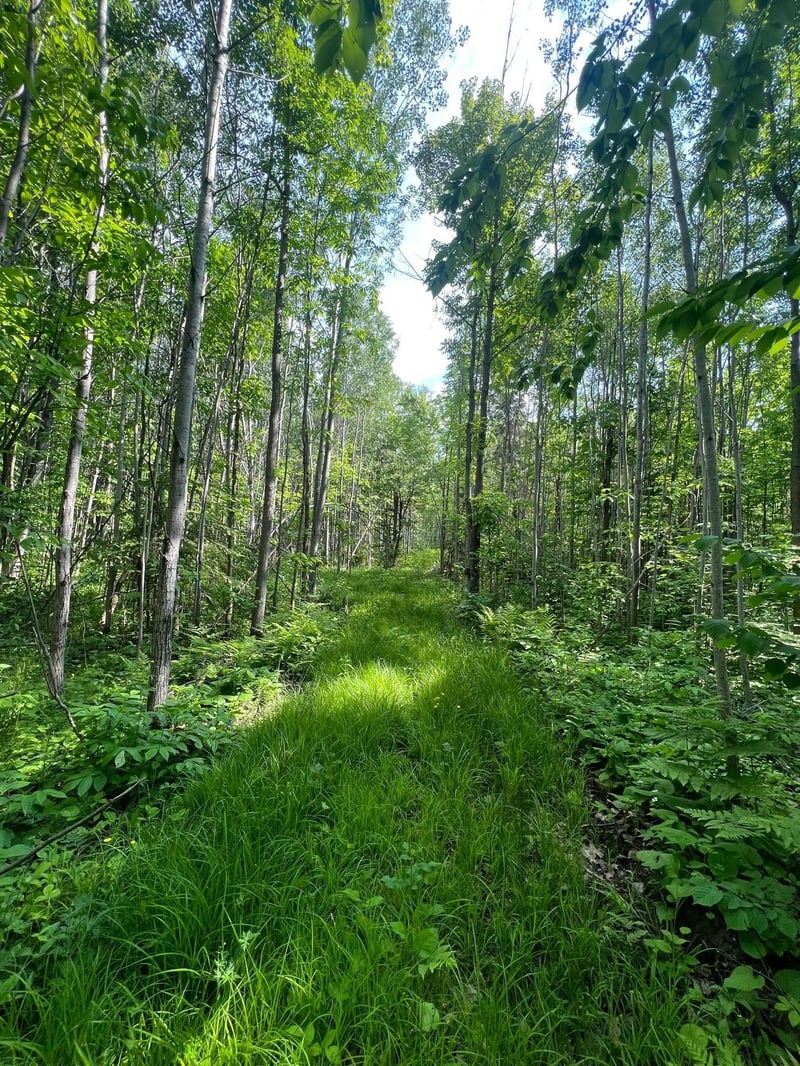 TBD Highway 13, Bayfield, WI 54814