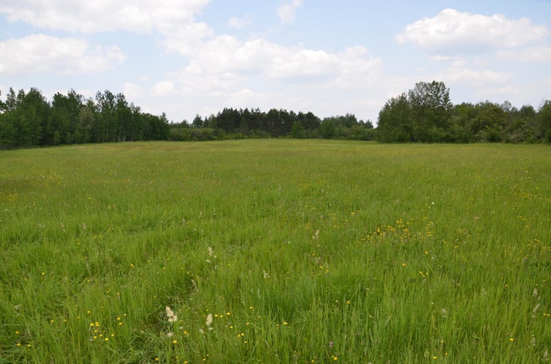 103XX Hwy 2, Brookston, MN 55711