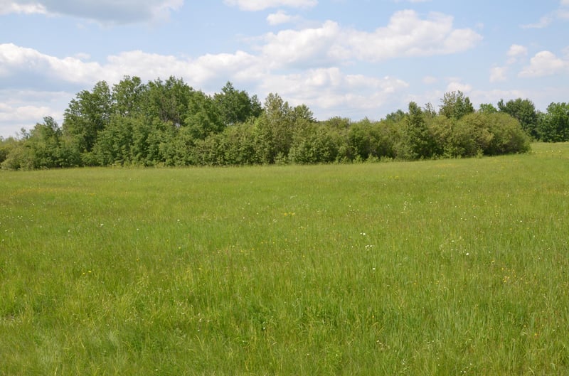 103XX Hwy 2, Brookston, MN 55711