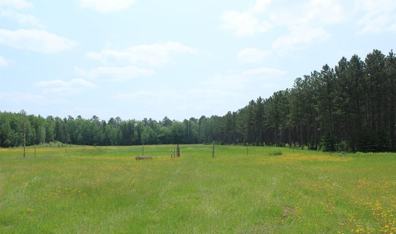 8404 Nelson Rd, Britt, MN 55710
