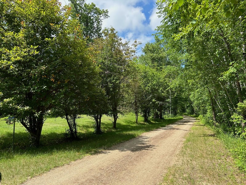 41585 Cabin Ln, Kelliher, MN 56650