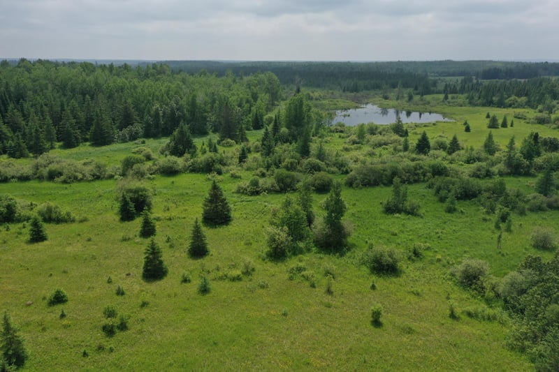 TBD Hwy 22, Angora, MN 55703