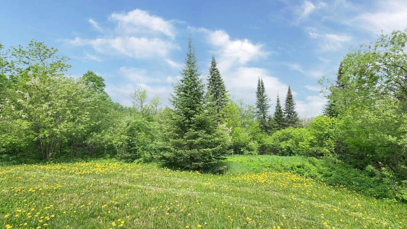 207 County Road 60, Grand Marais, MN 55604