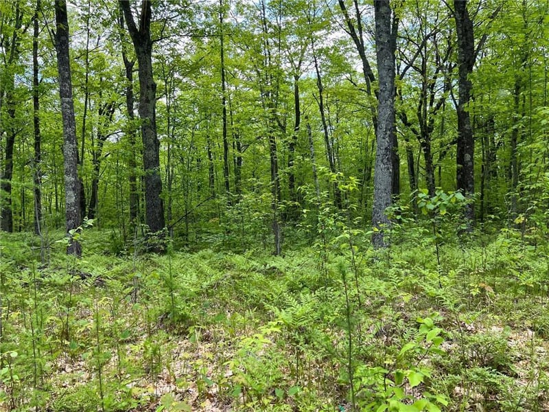 70000 Rutabaga Rd, Sandstone, MN 55072