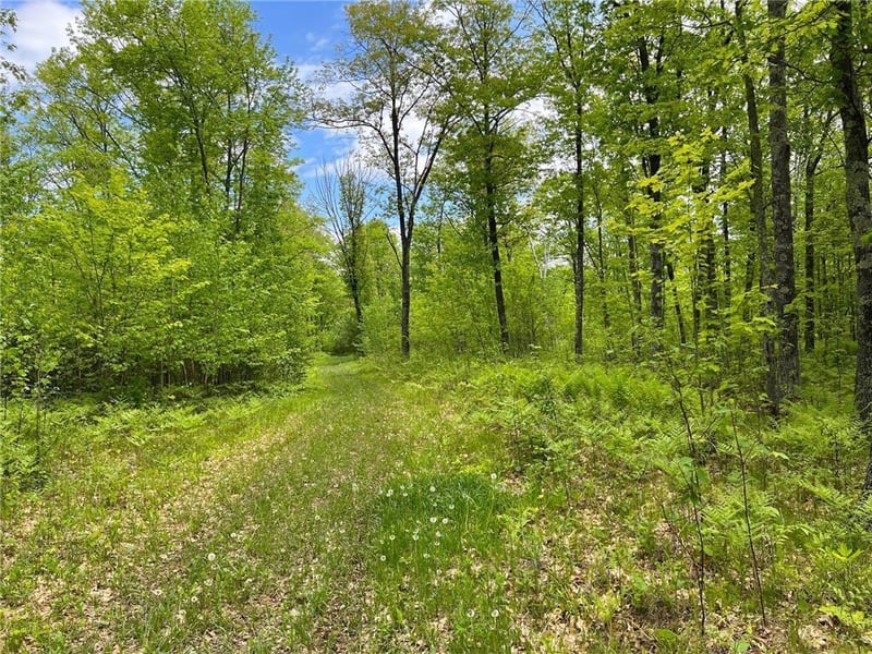 70000 Rutabaga Rd, Sandstone, MN 55072