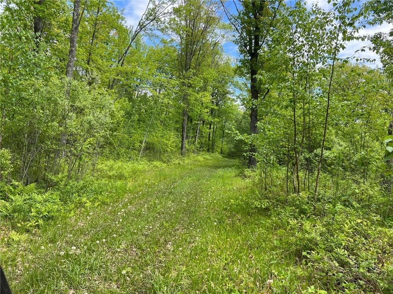 70000 Rutabaga Rd, Sandstone, MN 55072