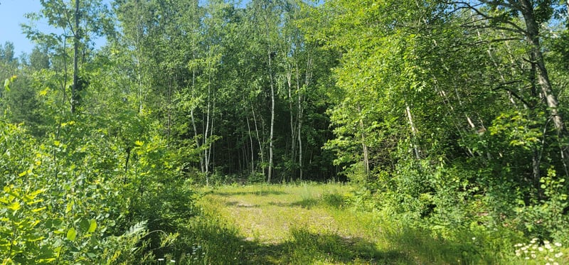 xxx Larsen Rd, Hayward, WI 54843