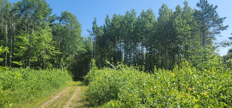 xxx Larsen Rd, Hayward, WI 54843