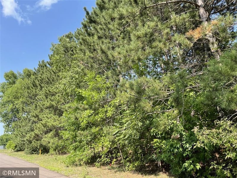 XXX Grand Ave, North Branch, MN 55056