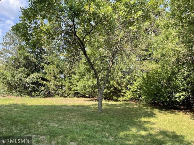 XXX Grand Ave, North Branch, MN 55056
