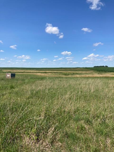 XXX 540th Ave, Alberta, MN 56207