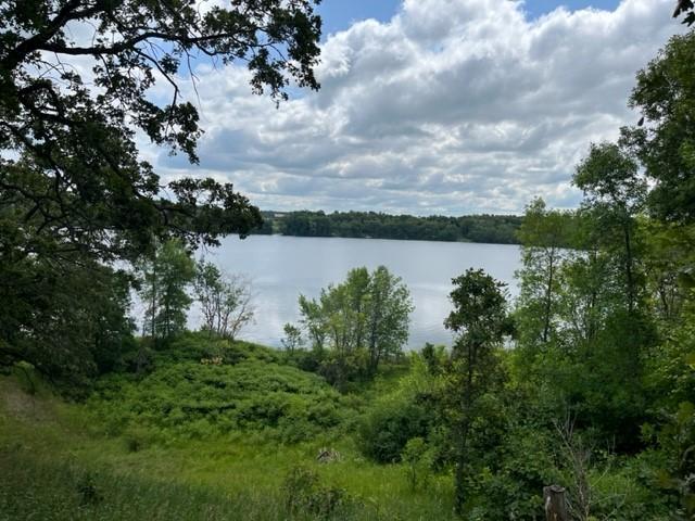 8061 Whiskey Lake Dr NW, Brandon, MN 56315