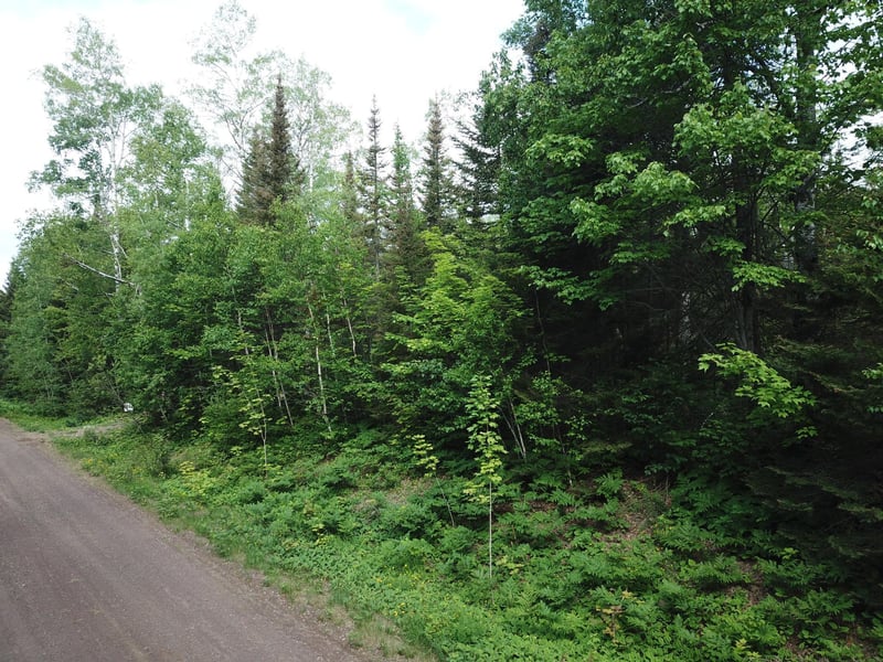 595 Barker Lake Rd, Lutsen, MN 55612