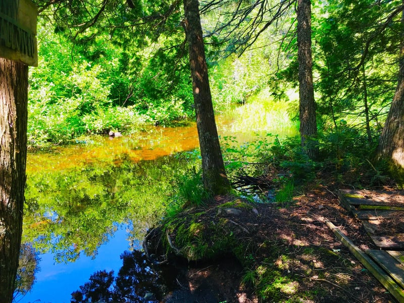 991 Ward Lake Rd, Lutsen, MN 55612