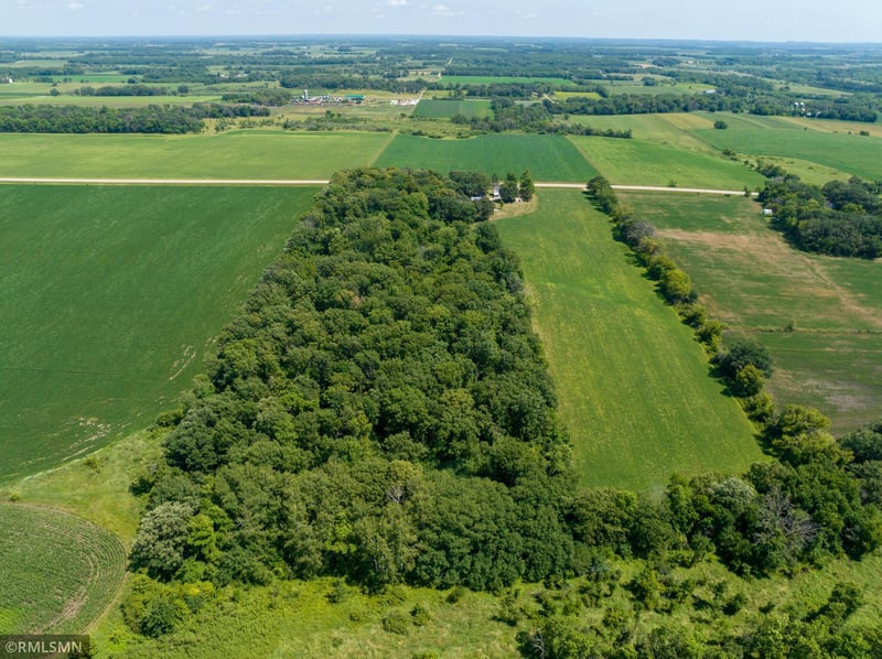 35409 County 11, Clarissa, MN 56440