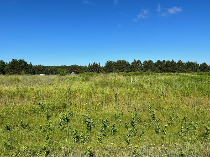 1201 Unit 52 Tyler Ave, Bemidji, MN 56601