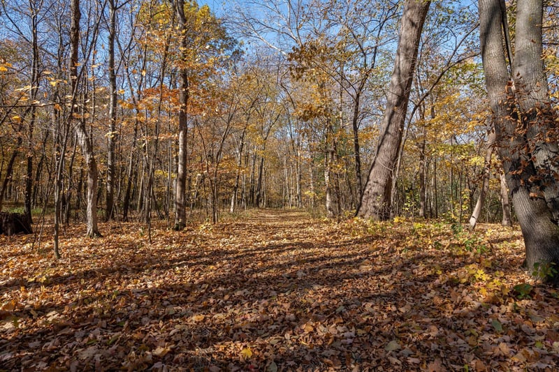 6099 French Lake Trl, Faribault, MN 55021