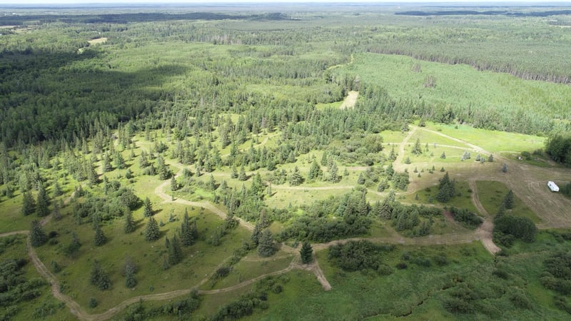 10501 Heino Rd, Angora, MN 55703