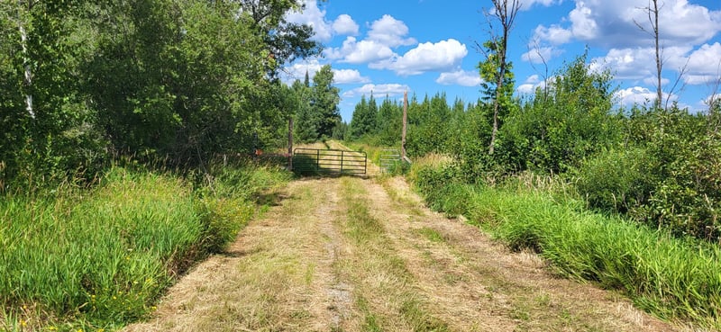 10501 Heino Rd, Angora, MN 55703