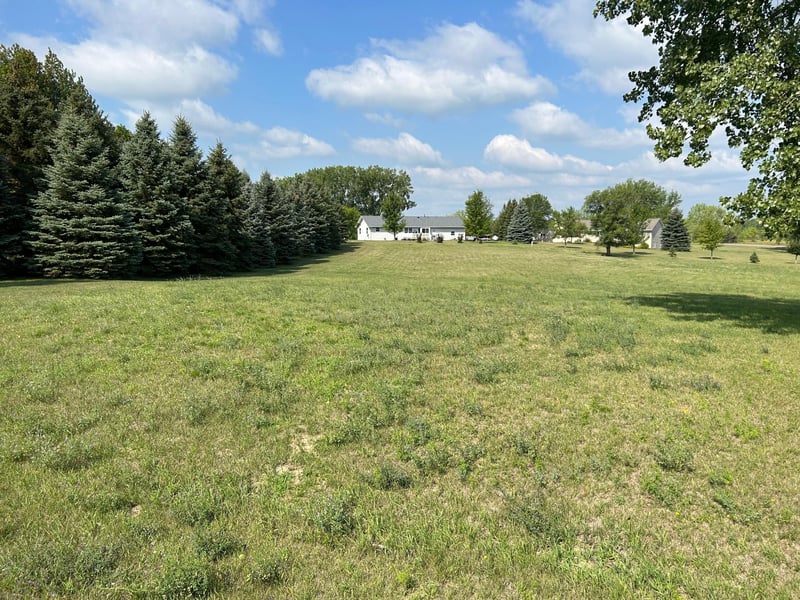 6007 Rolling Hills Dr SW, Montevideo, MN 56265