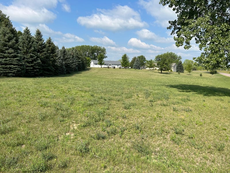 6007 Rolling Hills Dr SW, Montevideo, MN 56265