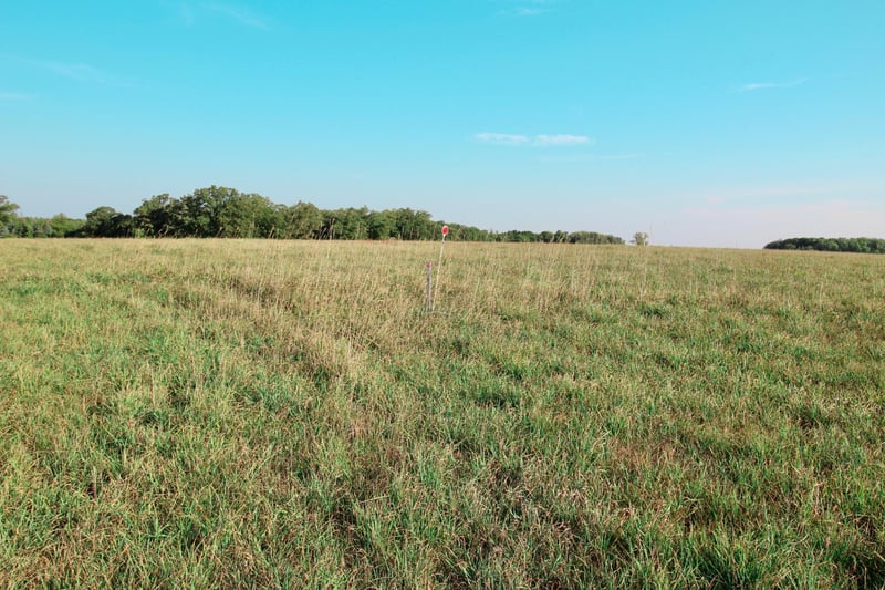 30202 93rd St, Pierz, MN 56364