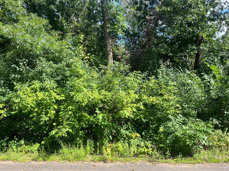 23xxx 182nd St, Big Lake, MN 55309