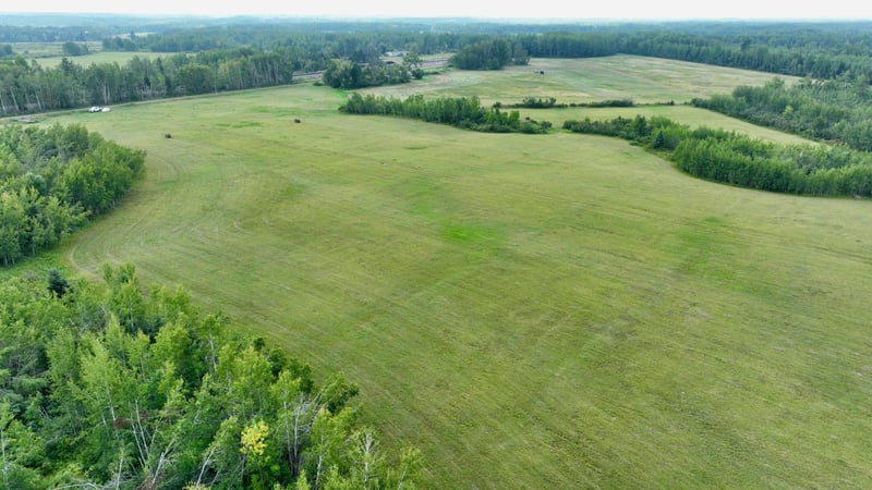 7295 S Nindorf Rd, Foxboro, WI 54836