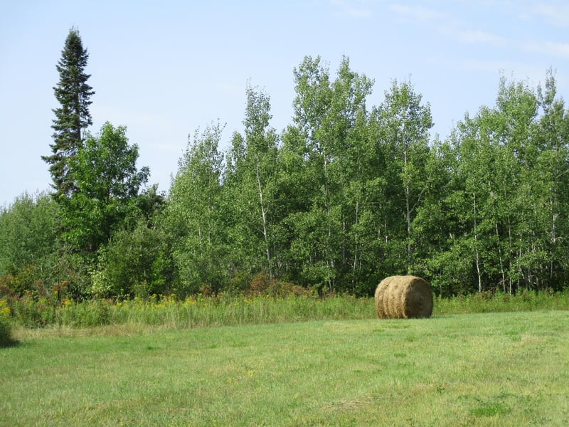 7295 S Nindorf Rd, Foxboro, WI 54836