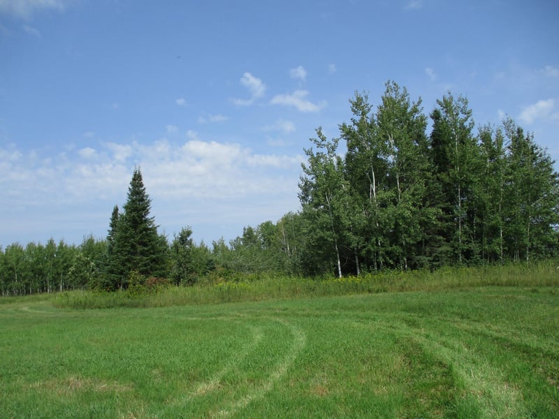 7295 S Nindorf Rd, Foxboro, WI 54836