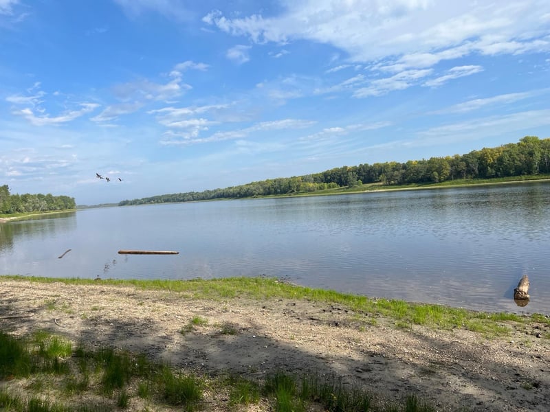 TBD Highway 11, Loman, MN 56654