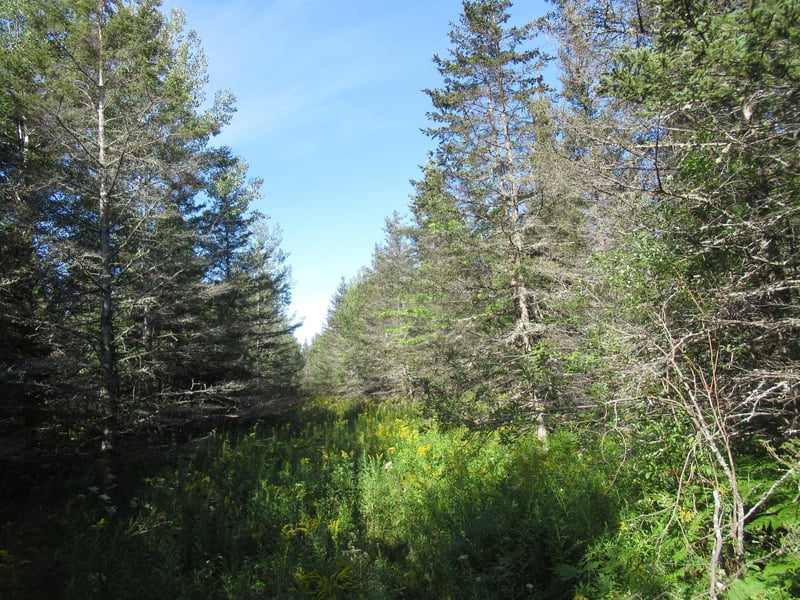 000 Tomich Rd, Ashland, WI 54806