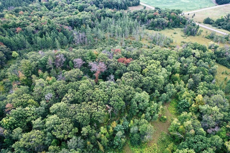 0 5th Ave, New Auburn, WI 54757