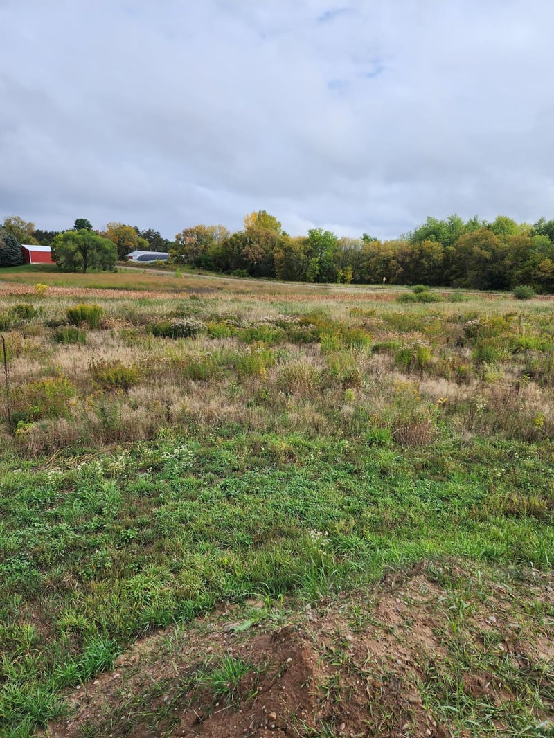 32158 Virgo St, North Branch, MN 55056