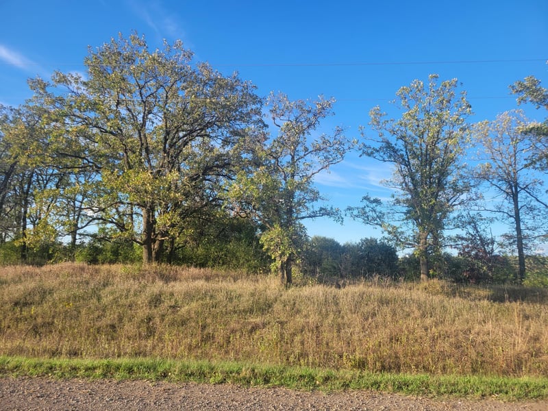 TBD 270th Ave, Pierz, MN 56364