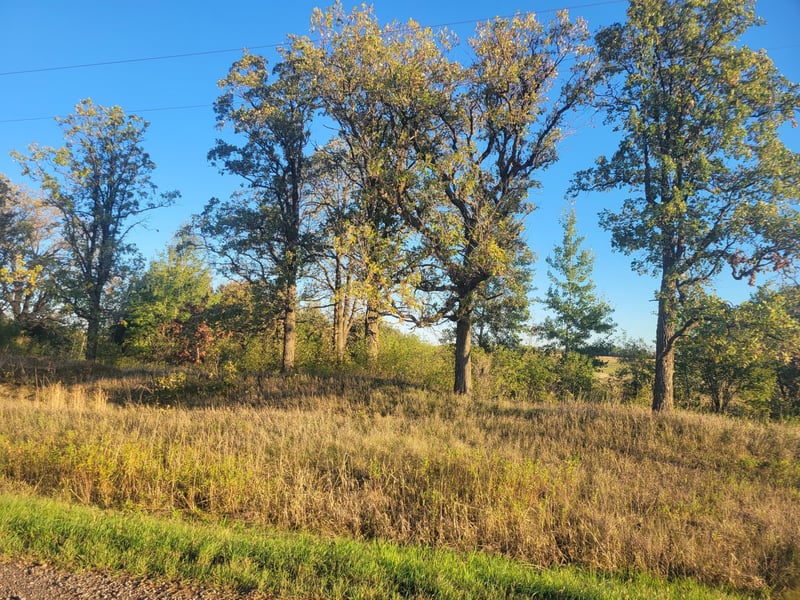 TBD 270th Ave, Pierz, MN 56364