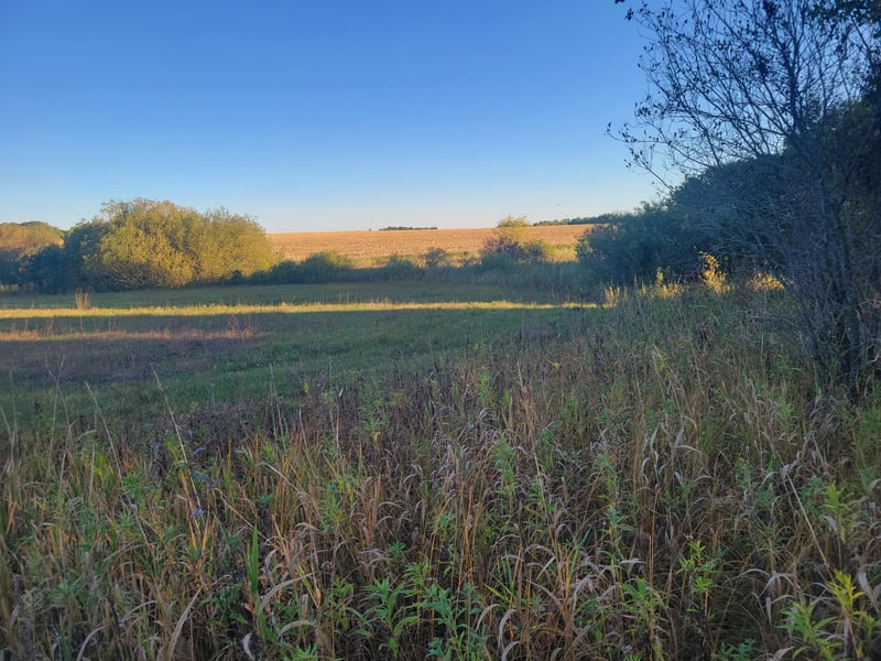 TBD 270th Ave, Pierz, MN 56364