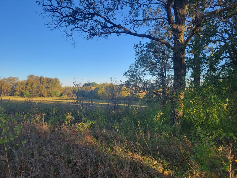 TBD 270th Ave, Pierz, MN 56364